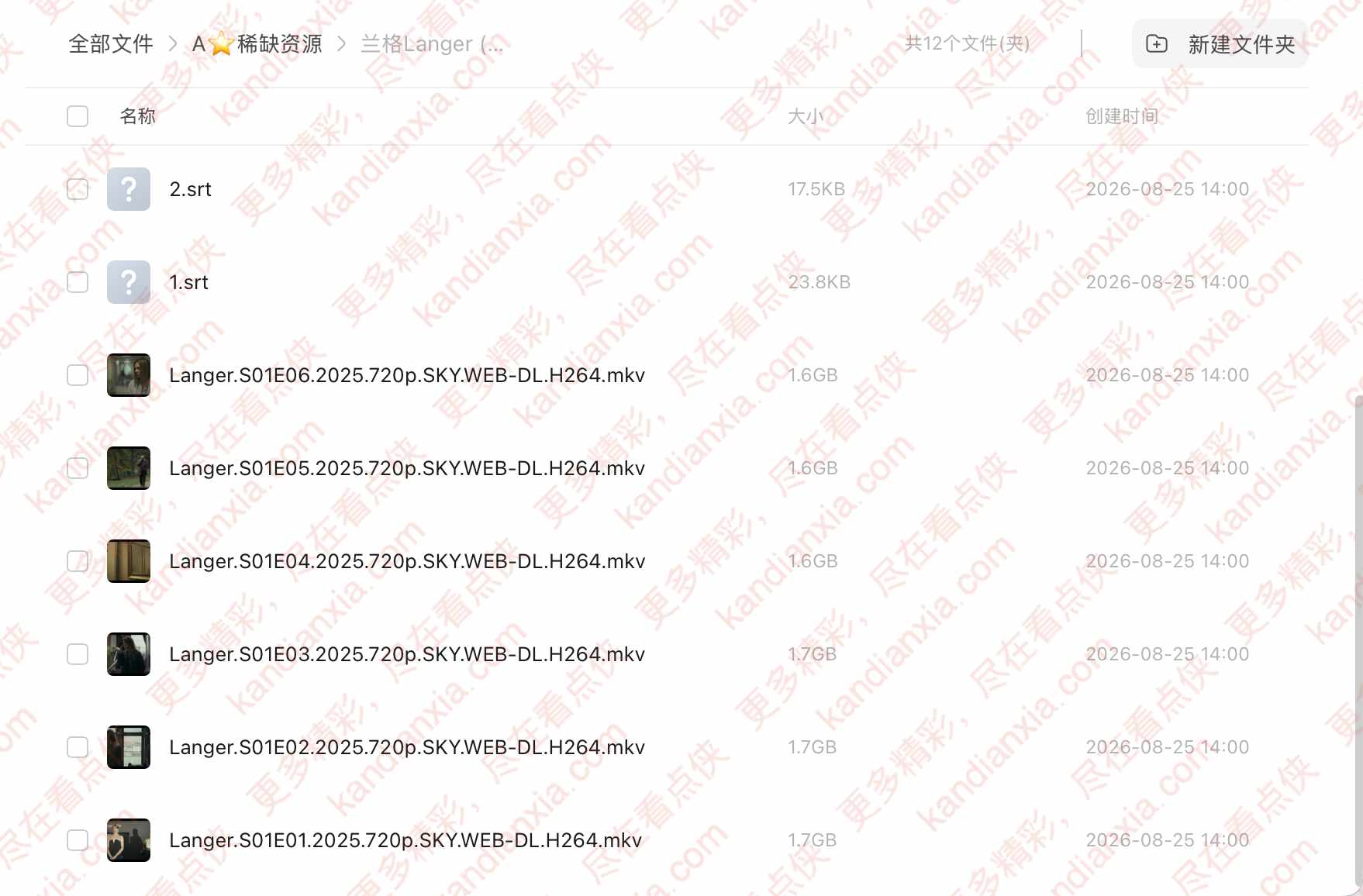 波兰剧《兰格》[2025][高清中字/6集全][迅雷网盘]