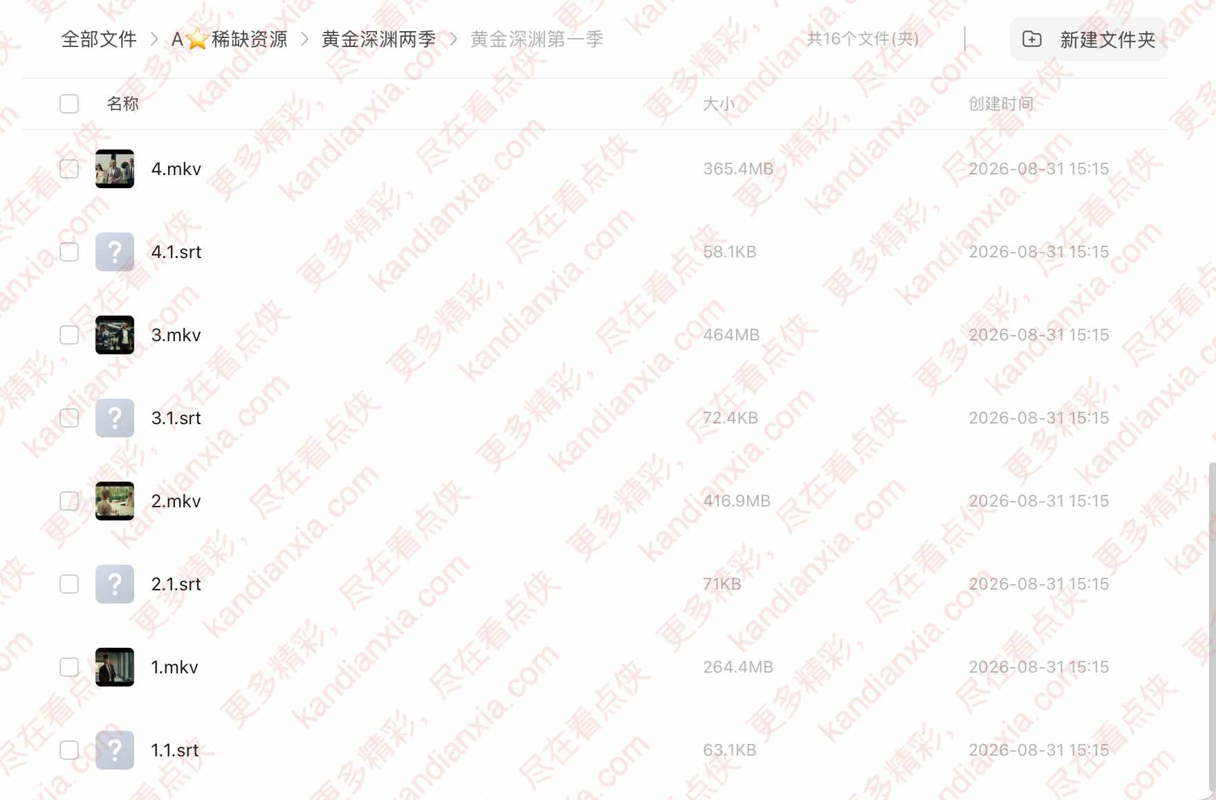 俄剧《黄金深渊》[2024][高清中字/1-2季][迅雷网盘]