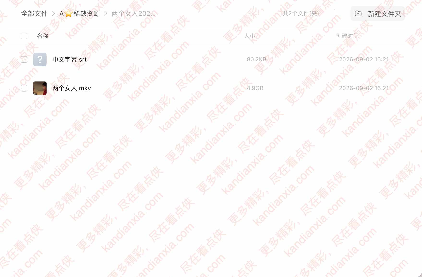 加拿大电影《两个女人》[2025][超清中字/4.9G][迅雷网盘]​