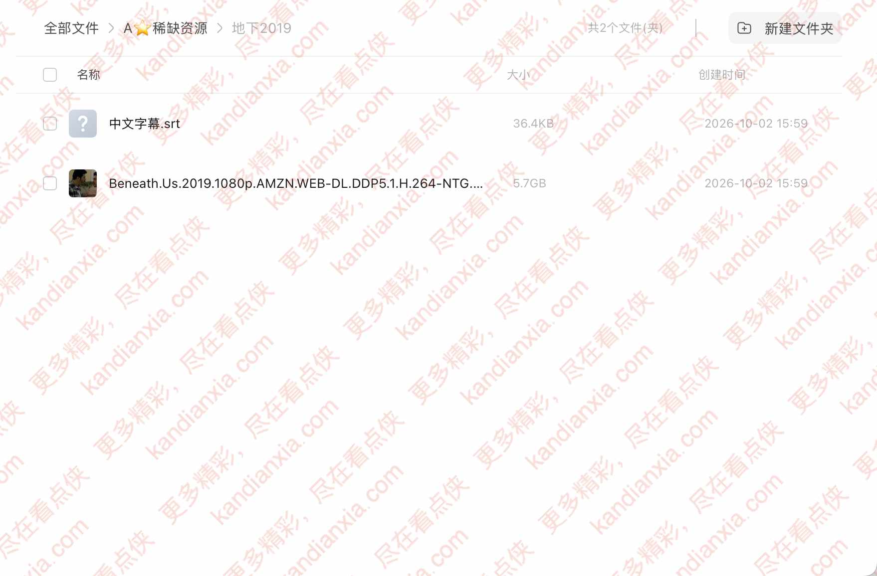 美国电影《地下》[2019][超清中字/5.7G][迅雷网盘]