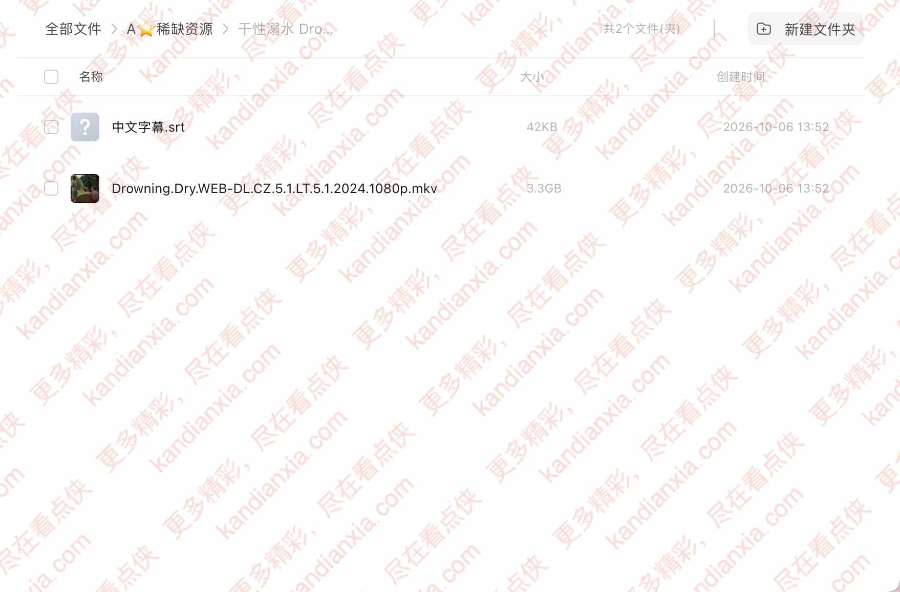 立陶宛电影《Sesės》[2024][超清中字/3.3G][迅雷网盘]