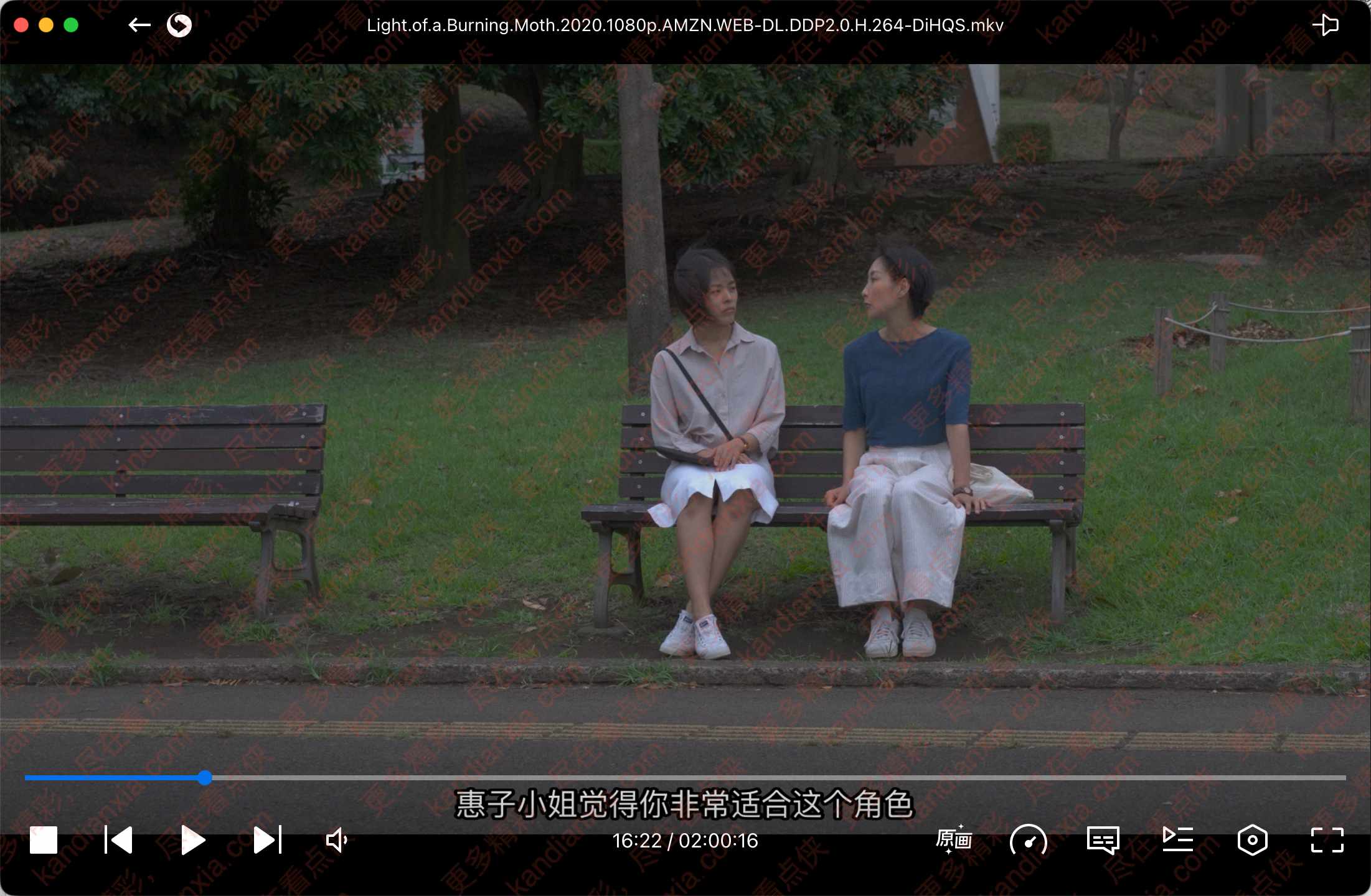 日本电影《蛾之光》[2020][超清中字/8.2G][迅雷网盘]