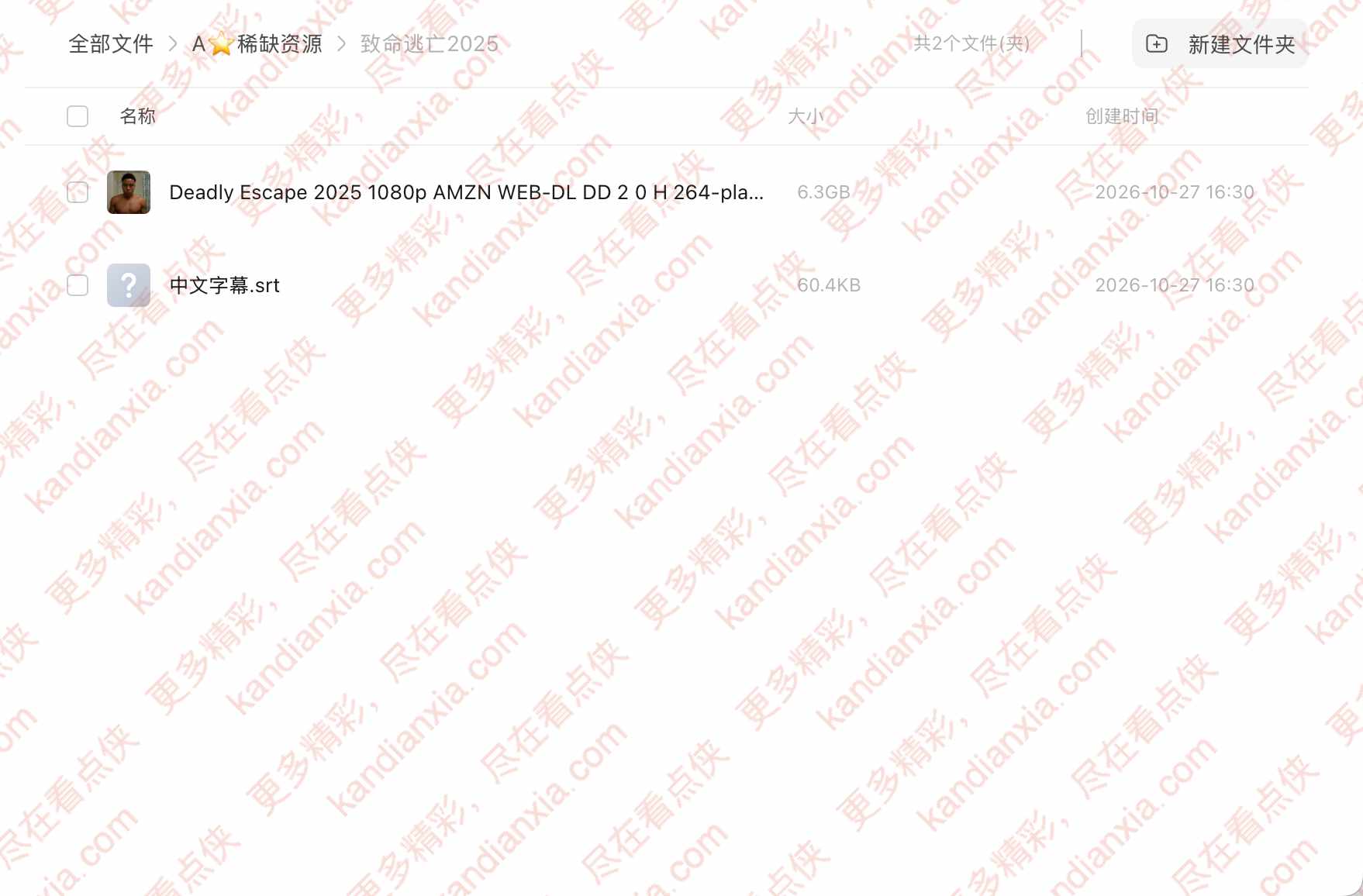 美国电影《Deadly Escape》[2025][超清中字][迅雷网盘]​