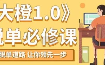 大橙1.0 脱单必修课