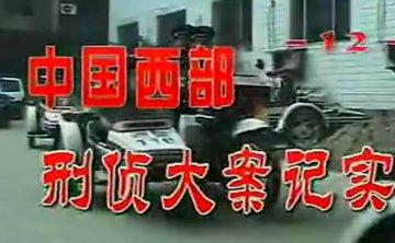 纪录片《中国西部刑侦大案纪实姊妹篇》46集全