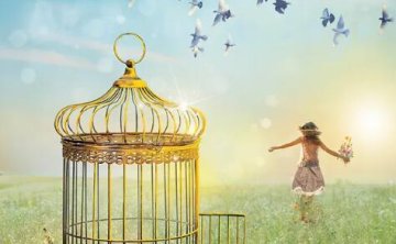 俄剧《笼中鸟》超清无删减全集中文字幕