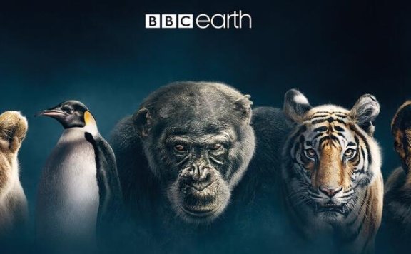 BBC纪录片378部共2500集高清英语中字