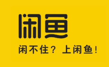 30天玩赚闲鱼实战训练营