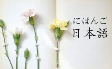 日语考级资料教程，24讲视频+音频合集