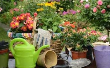 养花教学：花卉、盆景、观赏树，4套视频合集