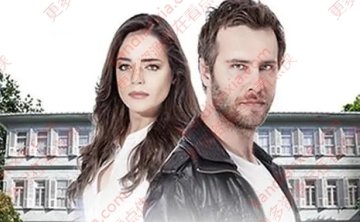 土剧《粉碎的花朵》[1-3季][超清中字/106.2G][百度网盘]​