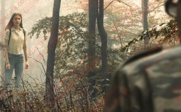 加拿大电影《沙坑里的女孩》[2018][超清中字/6.1G][迅雷网盘]​