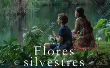 墨西哥电影《野花》[2015][高清中字/335M][迅雷网盘]​